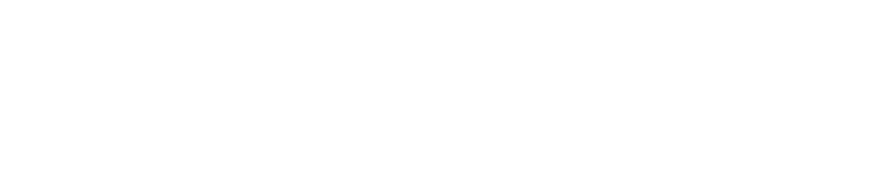 Verner Bruun Biler
